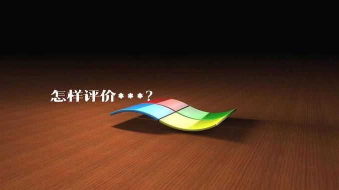 怎样评价***？