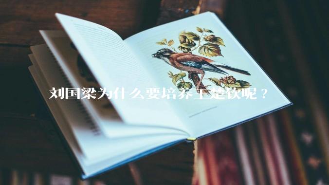 刘国梁为什么要培养王楚钦呢?