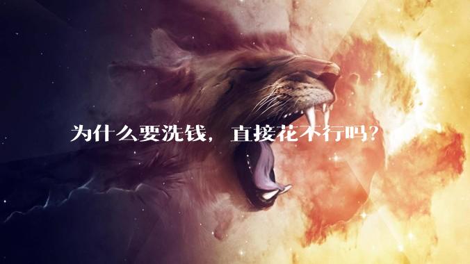 为什么要洗钱，直接花不行吗？