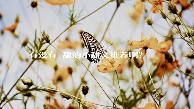有没有齁甜的小甜文推荐啊？