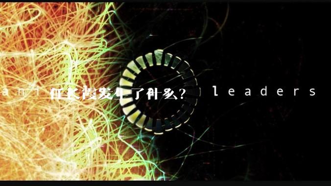 任长霞发生了什么？