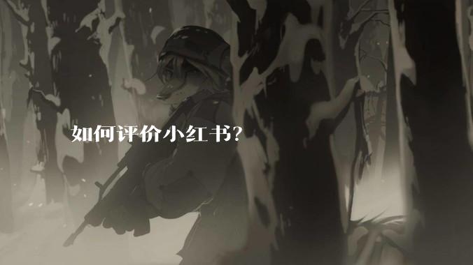 如何评价小红书？