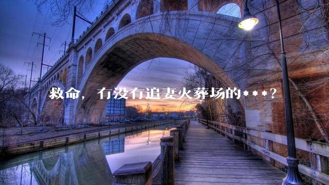 救命，有没有追妻火葬场的***？